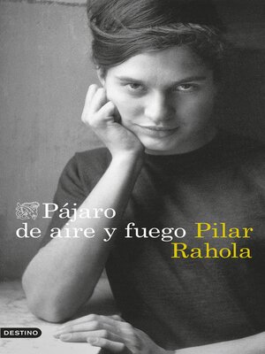 cover image of Pájaro de aire y fuego